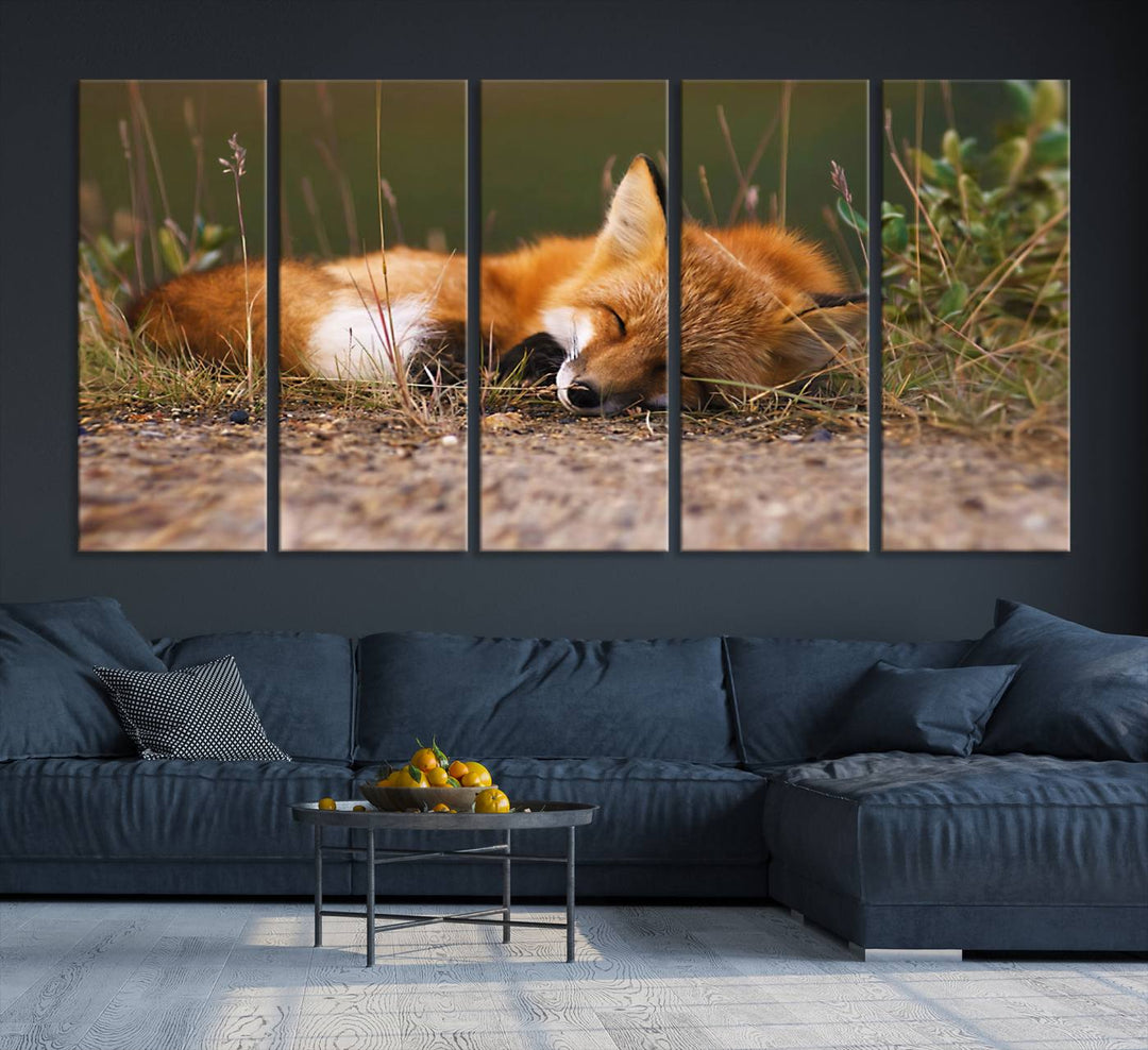 The Sleeping Fox Wall Art Canvas Print is ideal for farmhouse decor.