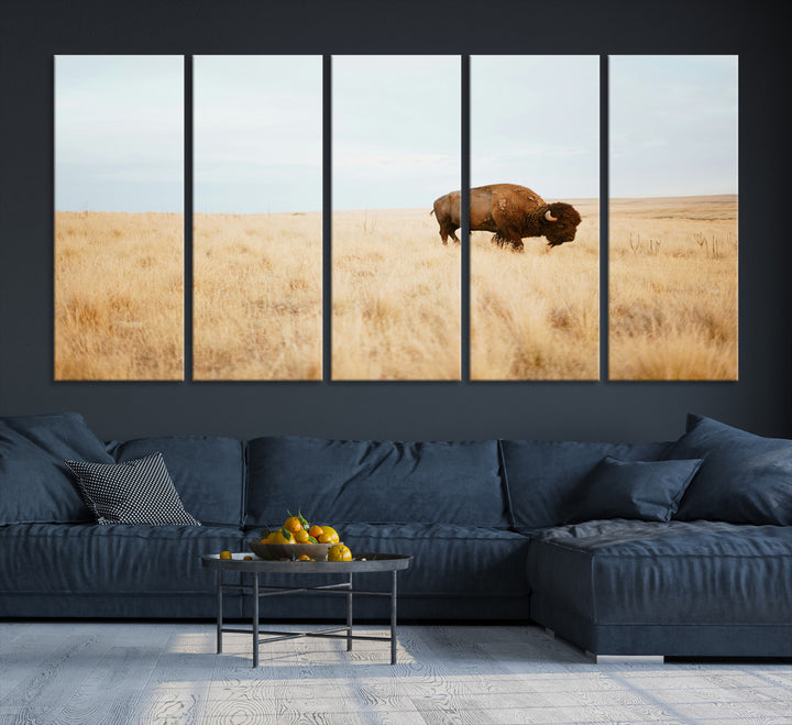 A lone bison standing in a vast golden grassland under a soft blue sky, evoking a rustic and Western aesthetic, ideal for farmhouse decor.