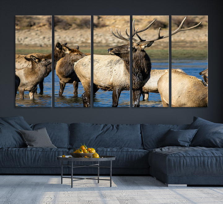Group of elk standing in shallow water with dry rocky terrain in the background, showcasing wildlife in a natural setting for rustic decor.