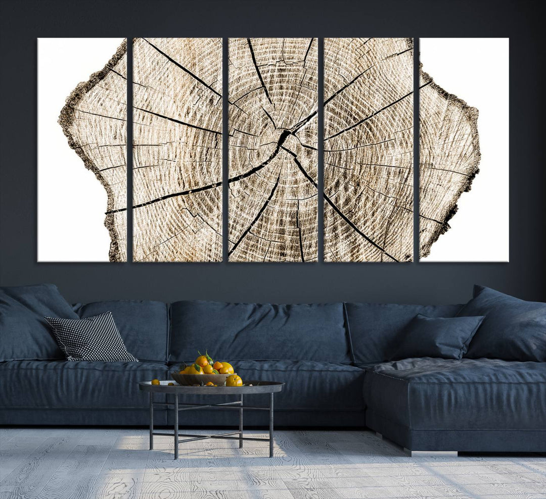 The Abstract Wood Tree Ring Wall Art set of 3 adds a minimalist touch to the space.