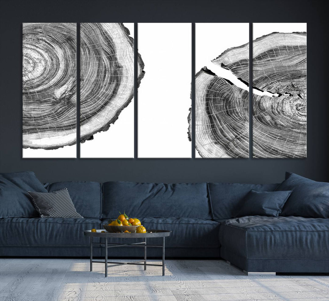 The minimalist art piece Abstract Large Tree Rings on canvas creates a striking focal point.