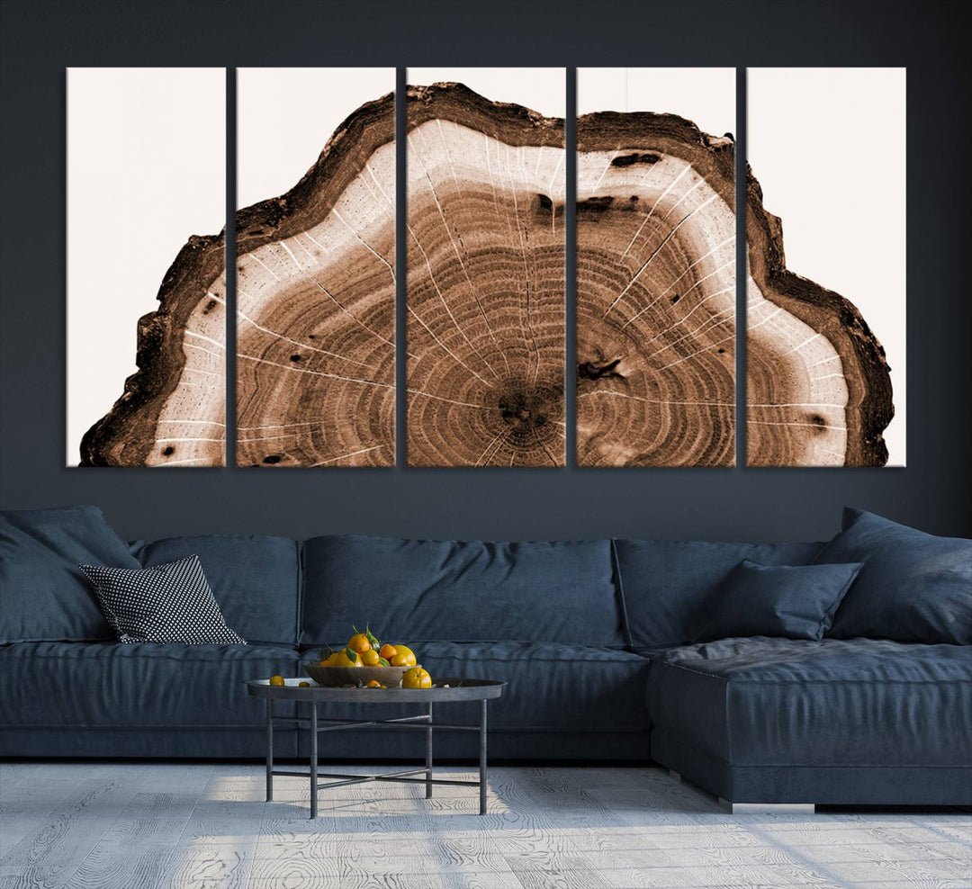 Close-up of the Rustic Wood Rings Wall Art featuring detailed tree rings and natural texture on a plain white background.