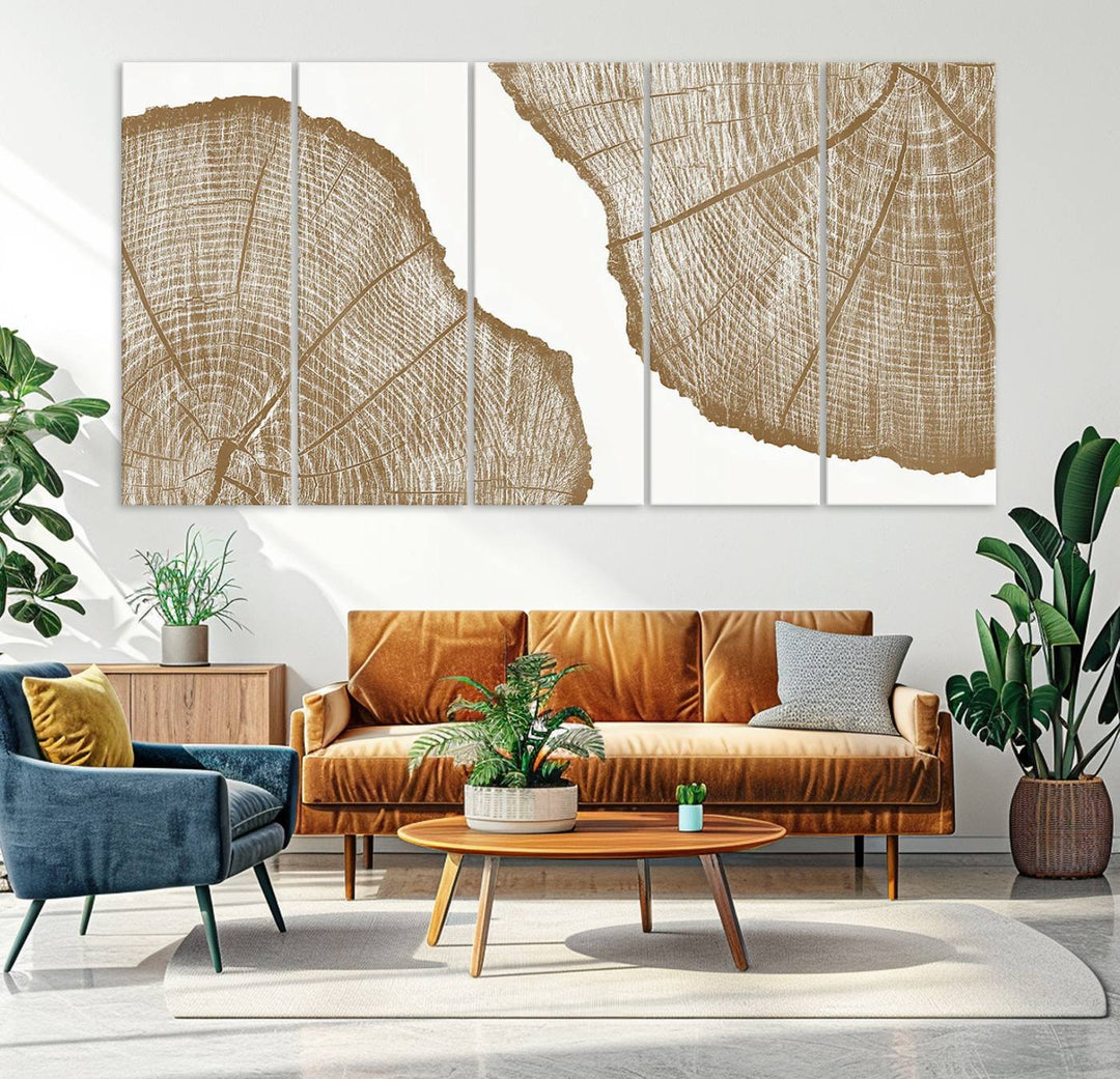 The rustic wall art features two large tree rings, beautifully framed and displayed to create a nature-inspired décor.