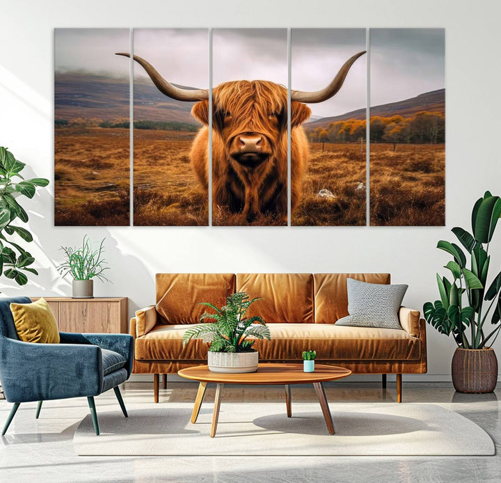 Highland Cow Longhorn Canvas Print, framed, on a wooden wall.