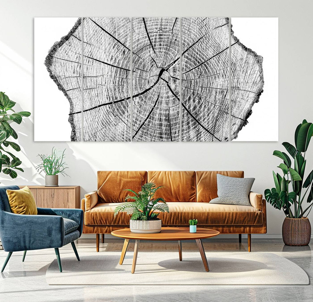 Black and white tree ring art print.