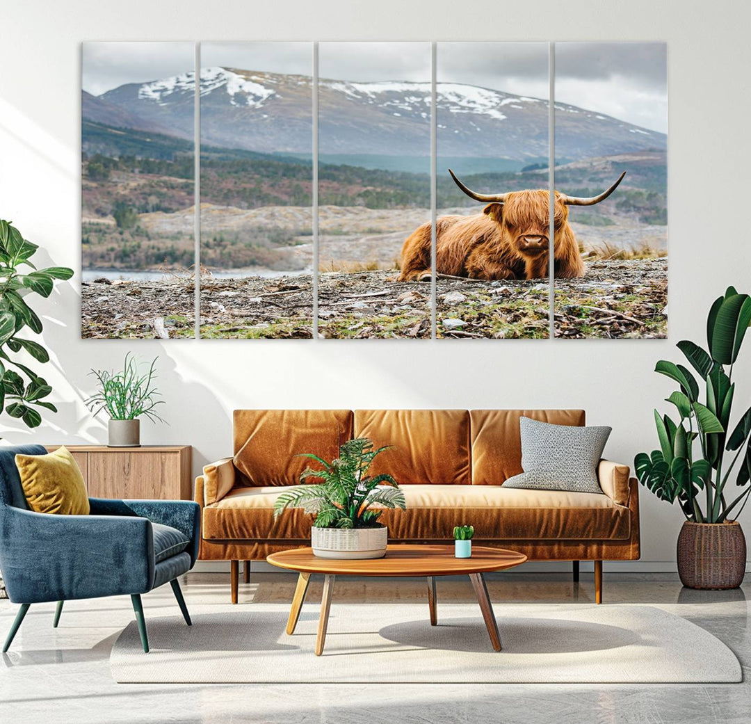 Highland Cow Horn Farm Wall Art Canvas Print is displayed against a wooden wall featuring a mountainous backdrop.