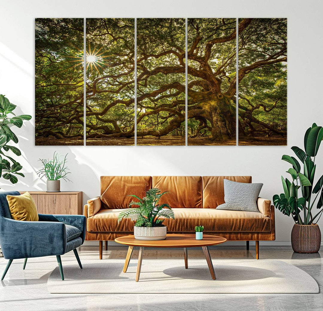 The Ancient Angel Oak Tree Art Sunburst Canvas Print, a framed triptych, serves as wall art.