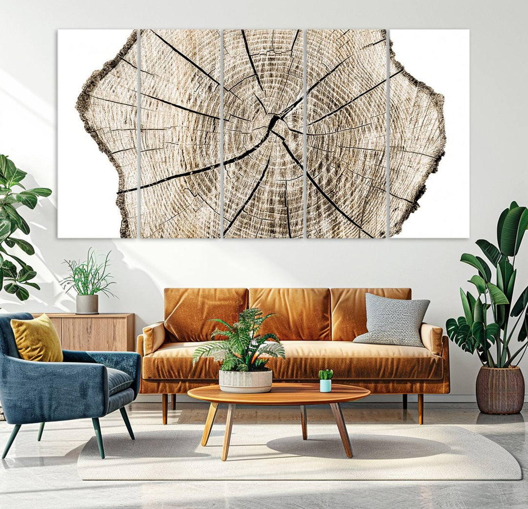 The Abstract Wood Tree Ring Wall Art set of 3 adds a minimalist touch to the space.