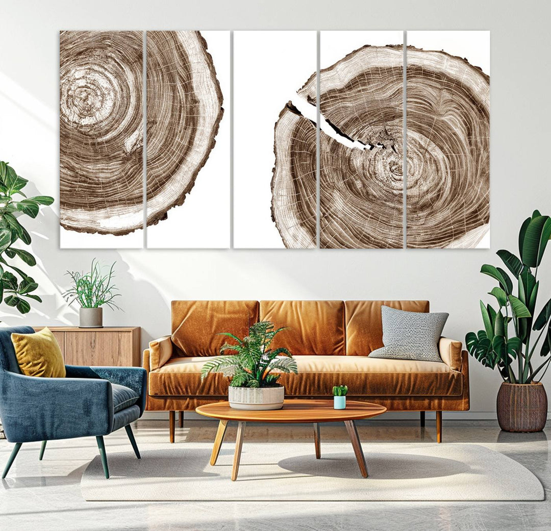 Wood Tree Ring Wall Art on a minimalist black and white canvas.