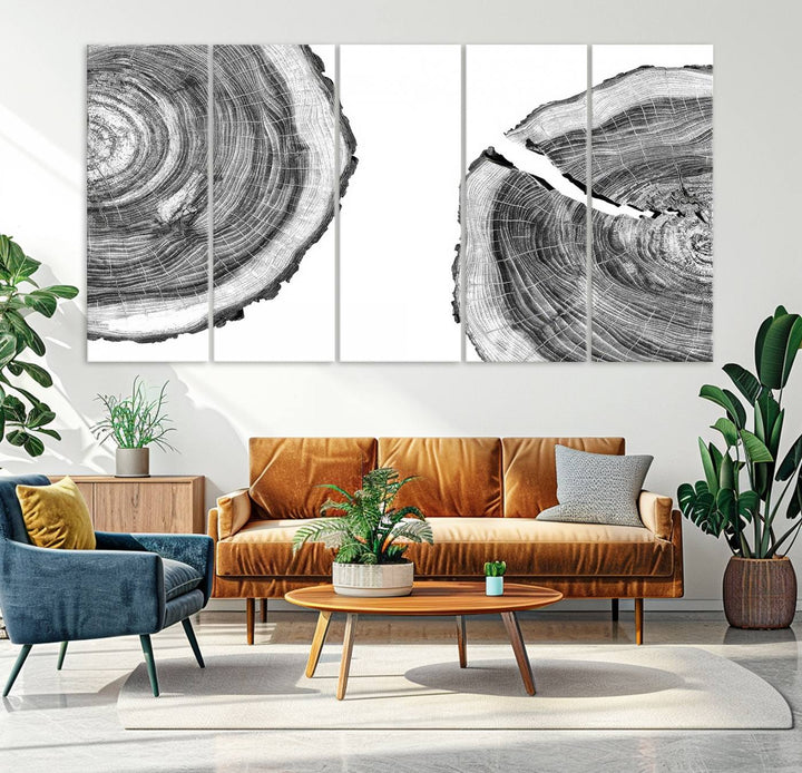 The minimalist art piece Abstract Large Tree Rings on canvas creates a striking focal point.