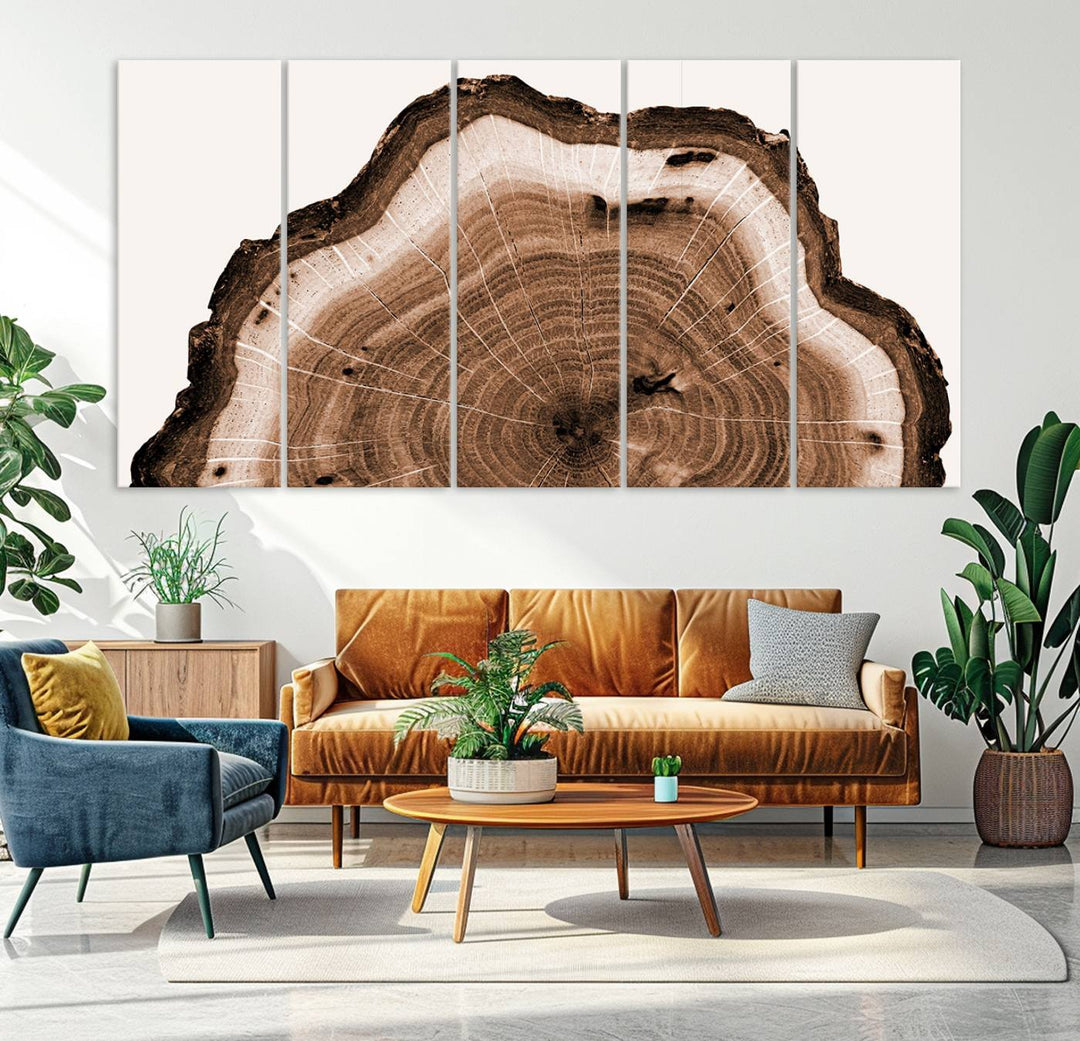 Rustic Wood Rings Wall Art | Nature-Inspired Tree Ring Canvas Print | Ready to Hang and Framed for Farmhouse Wall Decor