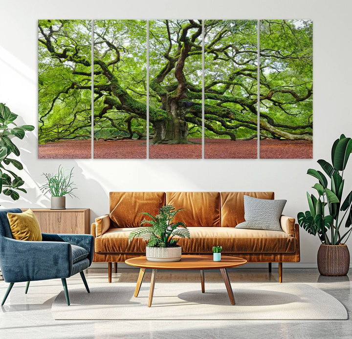 Framed Angel Oak Tree Wall Art - 3-Panel Canvas Prints, Large Green Nature Artwork, Ready to Hang Home Decor for Living Room, Office, Bedroom