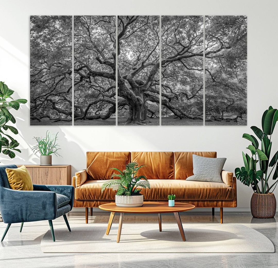 Majestic Angel Oak Tree Black and White Canvas Print – Multi Panel Wall Art, Giclée Print, Ready to Hang Nature Photography for Home Decor