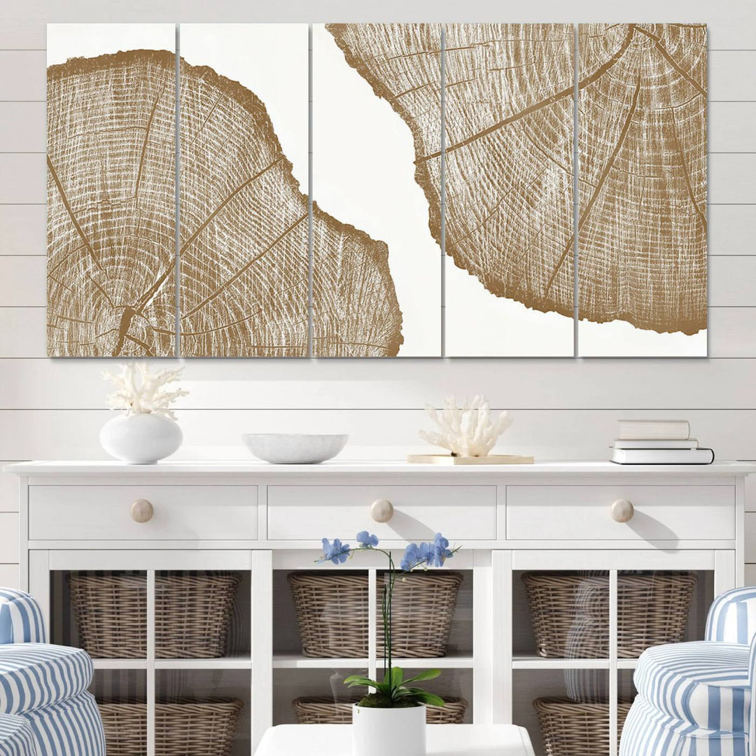 The rustic wall art features two large tree rings, beautifully framed and displayed to create a nature-inspired décor.