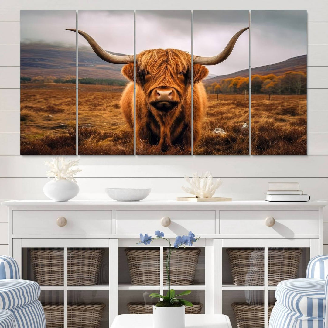 Highland Cow Longhorn Canvas Print, framed, on a wooden wall.