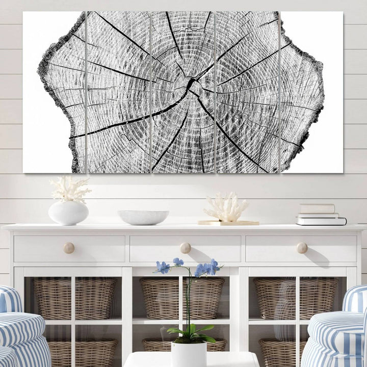 Black and white tree ring art print.