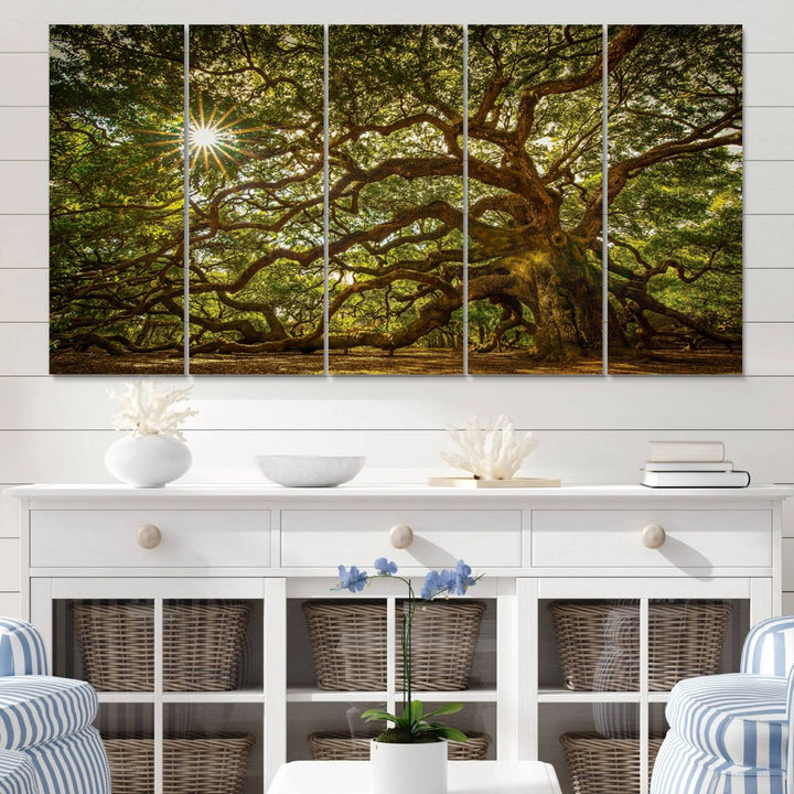 The Ancient Angel Oak Tree Art Sunburst Canvas Print, a framed triptych, serves as wall art.