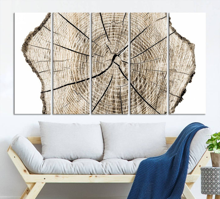 The Abstract Wood Tree Ring Wall Art set of 3 adds a minimalist touch to the space.