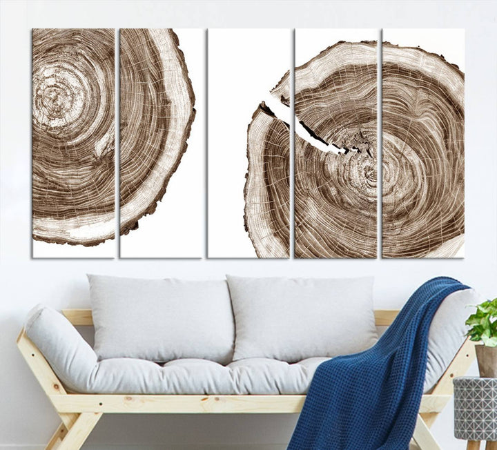 Wood Tree Ring Wall Art on a minimalist black and white canvas.