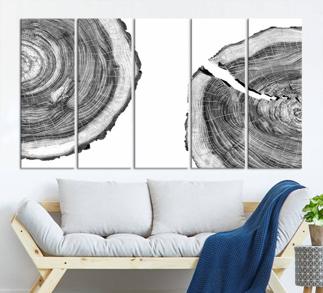 The minimalist art piece Abstract Large Tree Rings on canvas creates a striking focal point.