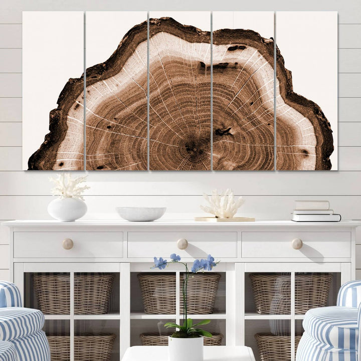 Rustic Wood Rings Wall Art | Nature-Inspired Tree Ring Canvas Print | Ready to Hang and Framed for Farmhouse Wall Decor