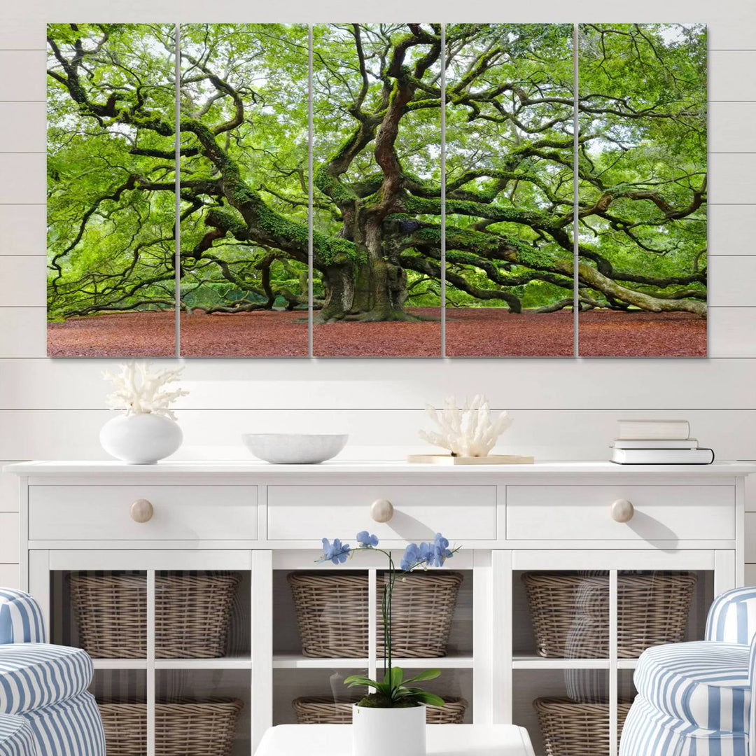 Framed Angel Oak Tree Wall Art - 3-Panel Canvas Prints, Large Green Nature Artwork, Ready to Hang Home Decor for Living Room, Office, Bedroom