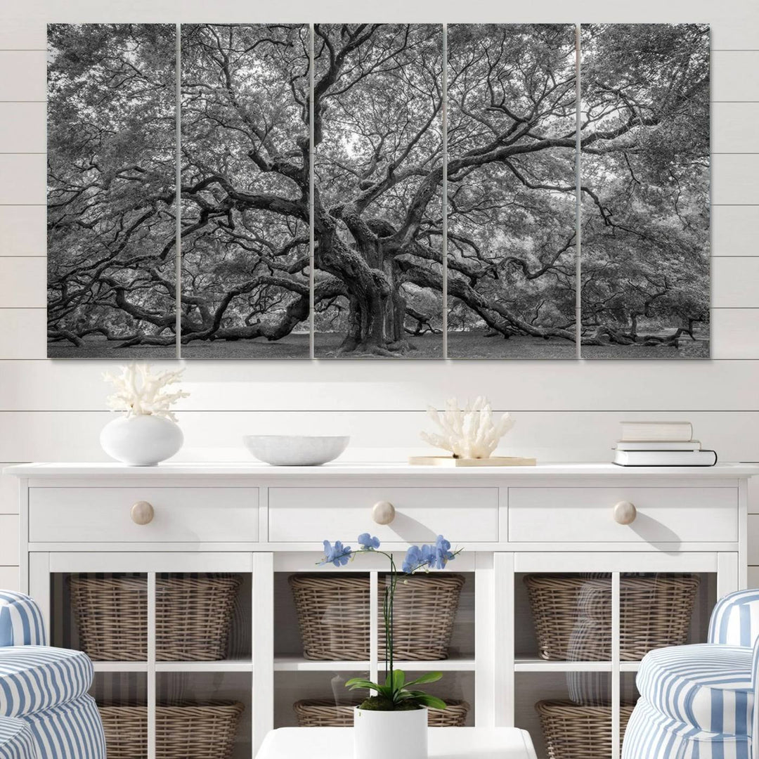 Majestic Angel Oak Tree Black and White Canvas Print – Multi Panel Wall Art, Giclée Print, Ready to Hang Nature Photography for Home Decor