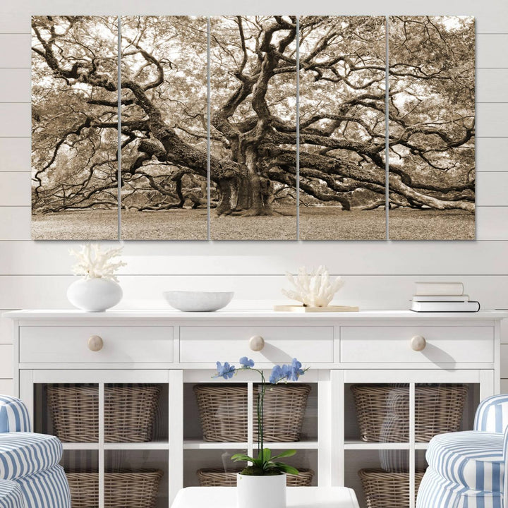 Displayed on the wall is a Sepia-framed Angel Oak Tree 3-panel canvas.