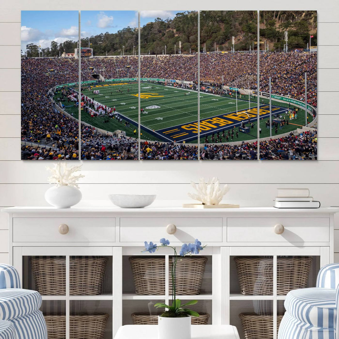 University of California Golden Bears Football Team Print - Berkeley California Memorial Stadium Wall Art Canvas Print