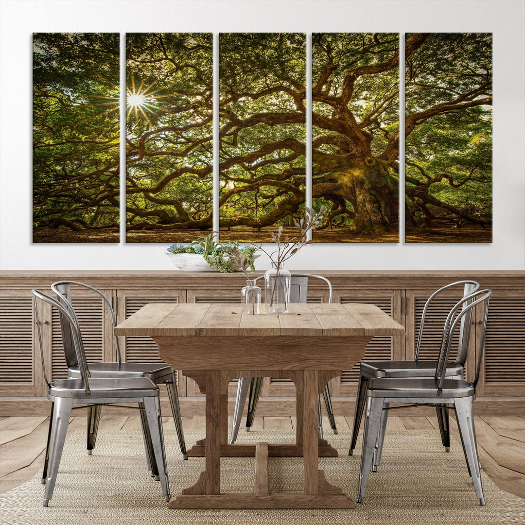 The Ancient Angel Oak Tree Art Sunburst Canvas Print, a framed triptych, serves as wall art.