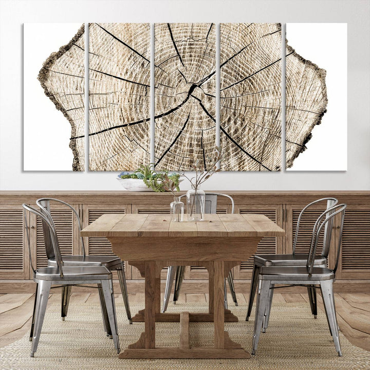 The Abstract Wood Tree Ring Wall Art set of 3 adds a minimalist touch to the space.