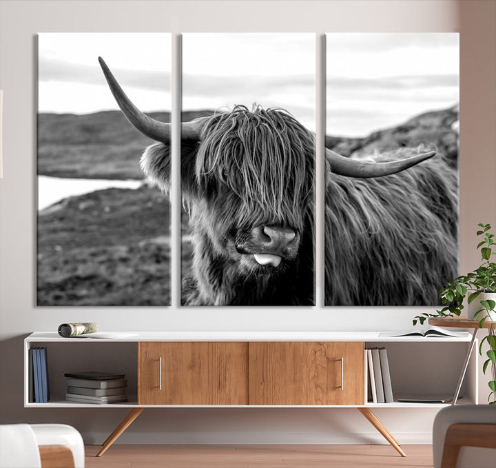 Scottish Highland Cow Cattle Art Print Farmhouse Wall Art Canvas Print