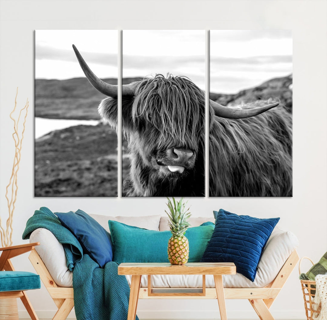 Scottish Highland Cow Cattle Art Print Farmhouse Wall Art Canvas Print