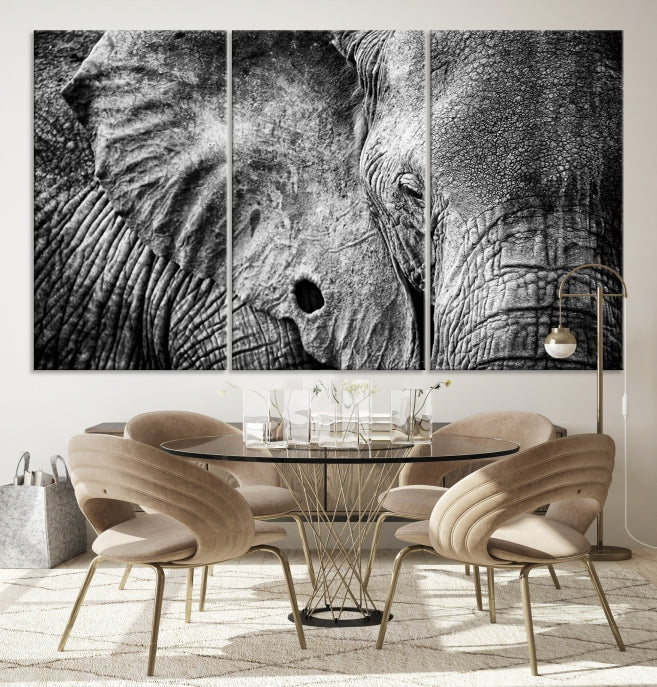 Wild Old Elephant Wall Art Canvas Print