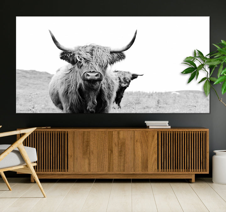 Beautiful Highland Cow Canvas Wall Art