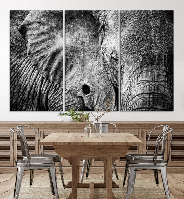 Wild Old Elephant Wall Art Canvas Print