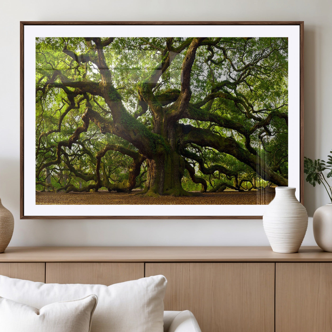 MGC-FP-36x24 - Angel Oak Tree Wall Art Canvas Print | Forest Tree Nature Photography Print on Canvas | Large