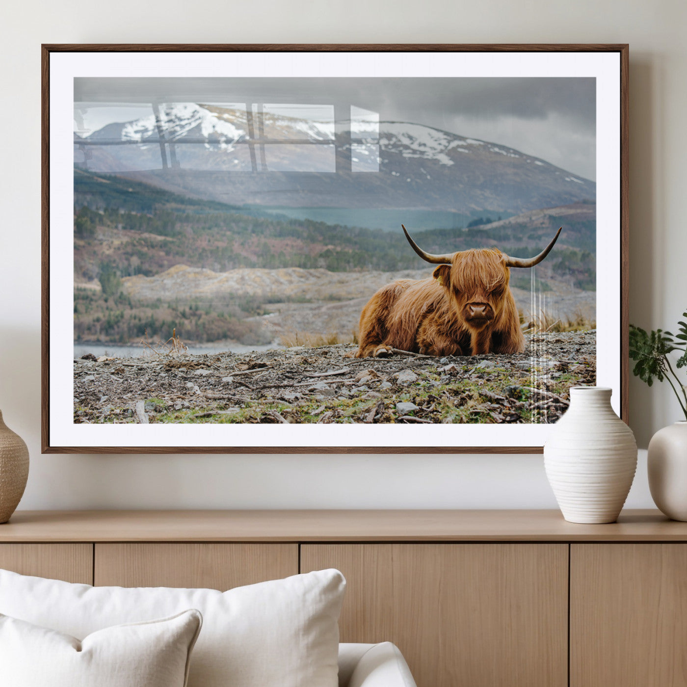 -Highland Cow Horn Farm Wall Art Canvas Print