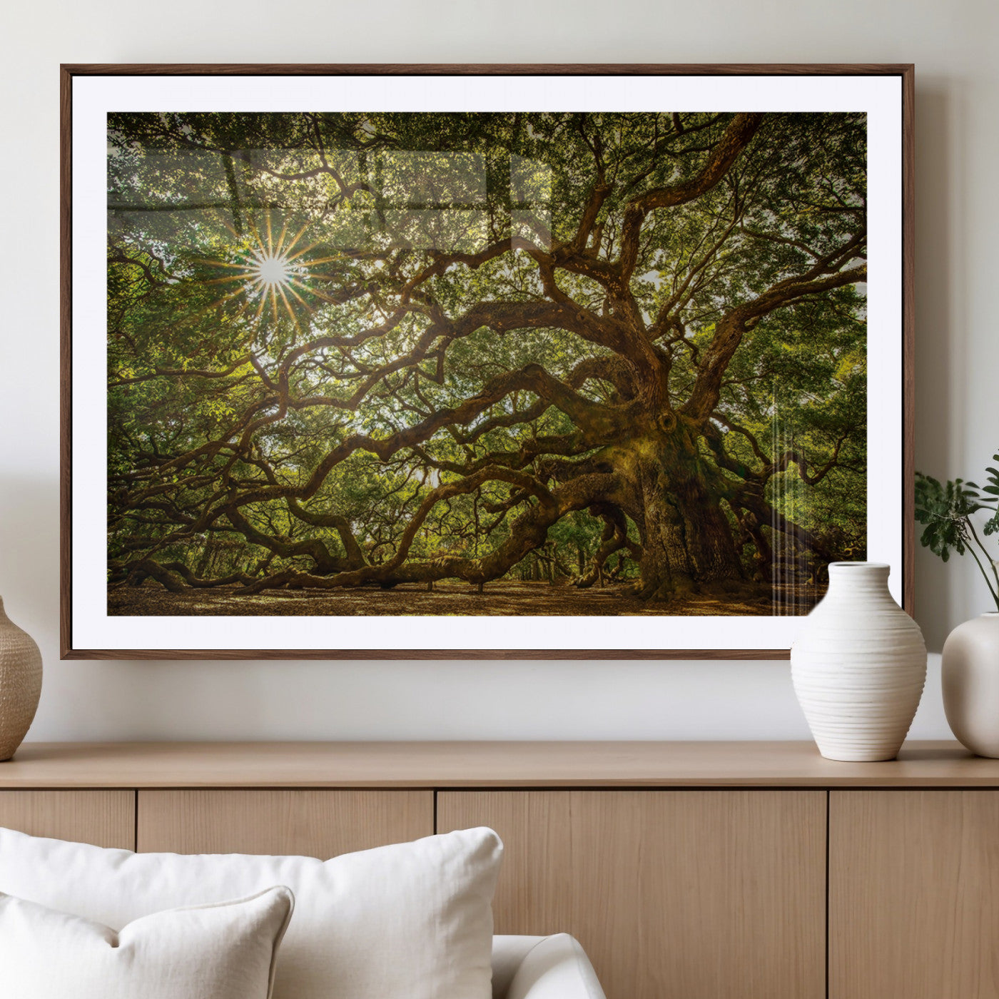 MGC-FP-36x24 - Ancient Angel Oak Tree Art Sunburst Canvas Print- Nature-Inspired Triptych Canvas Print, Framed,