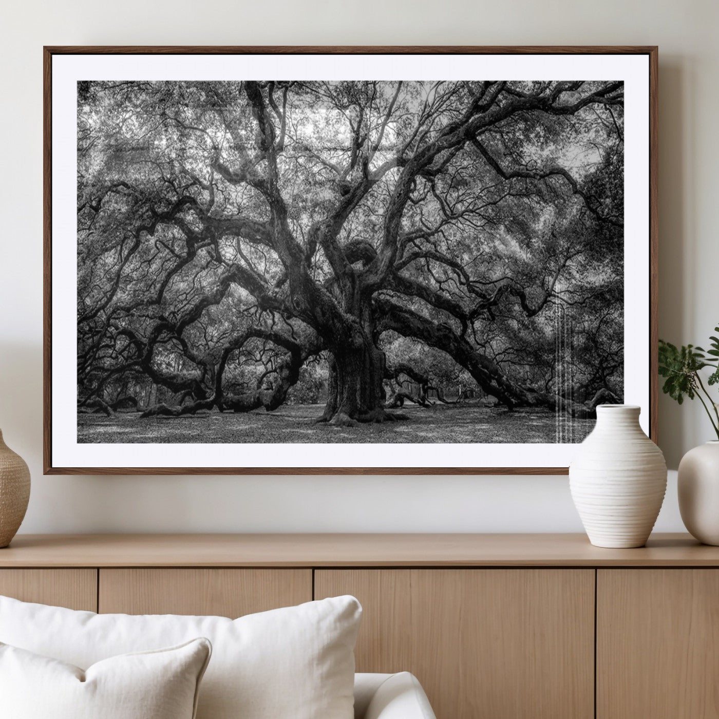 MGC-FP-36x24 - Black and White Old Angel Oak Tree Wall Art Canvas Print