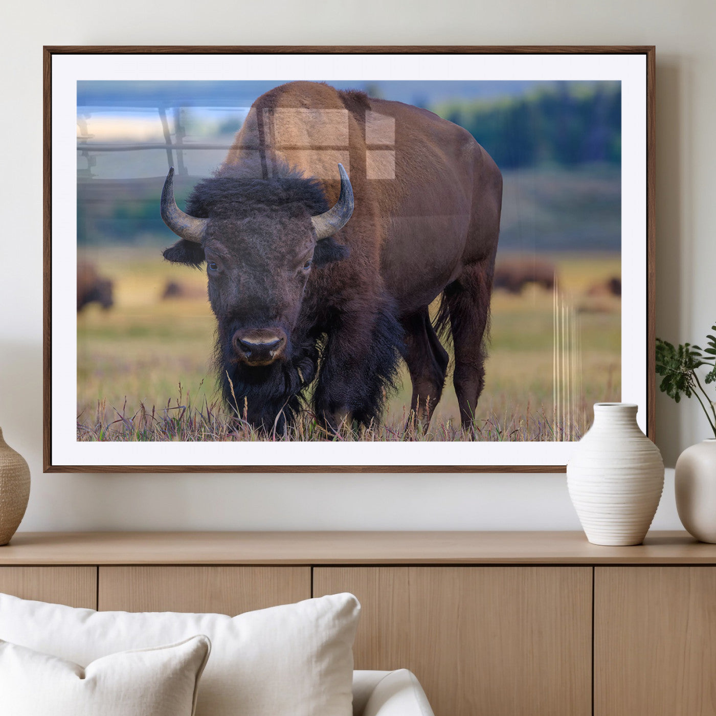 Close-up of a strong American bison standing in a grassy prairie with a blurred herd in background, perfect for rustic lodge decor.