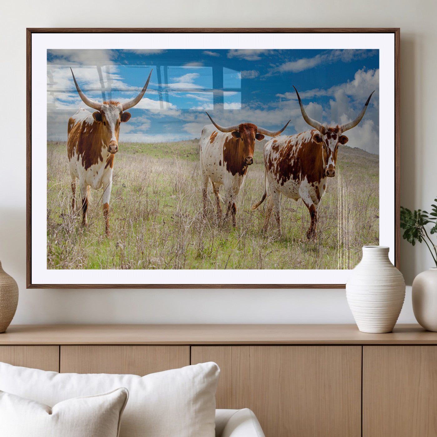 Three Texas longhorn cattle standing in dry grass under a bright blue sky, ideal for farmhouse or western rustic home decor.