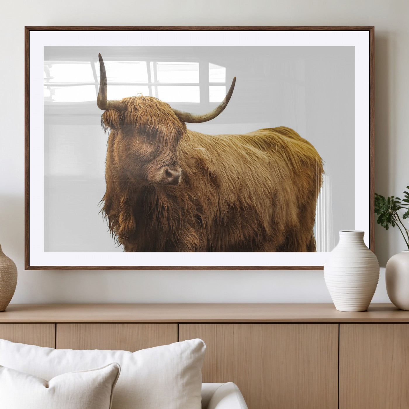 A highland cow with long horns and shaggy fur standing calmly, isolated on white background, ideal for rustic or farmhouse wall decor.