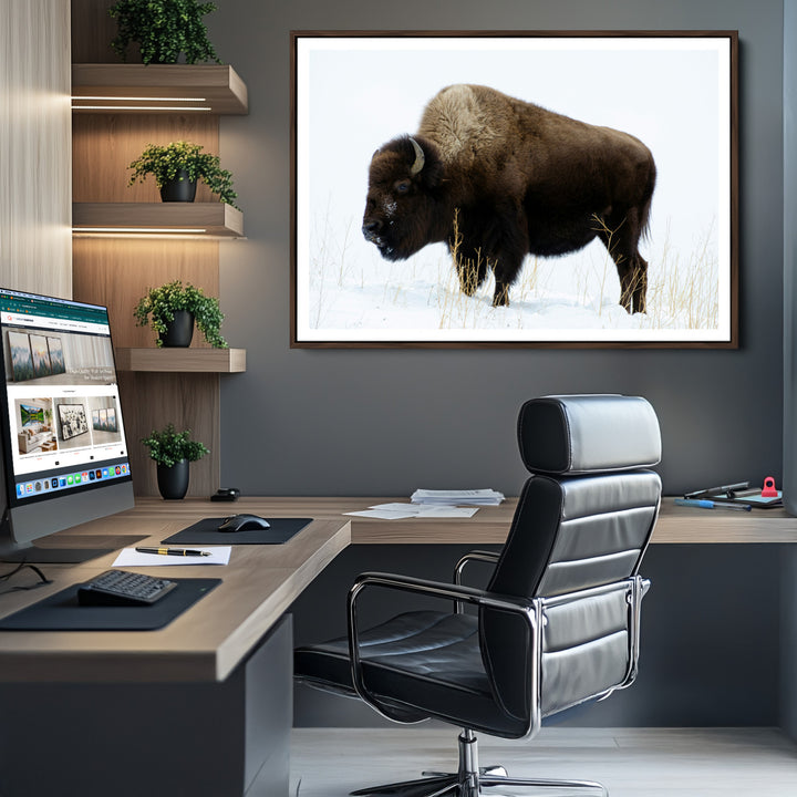 Bison Photography Wall Art Canvas Print, Framed Western Wildlife Art Picture Print, Buffalo On Snow Perfect Western Decor Artwork