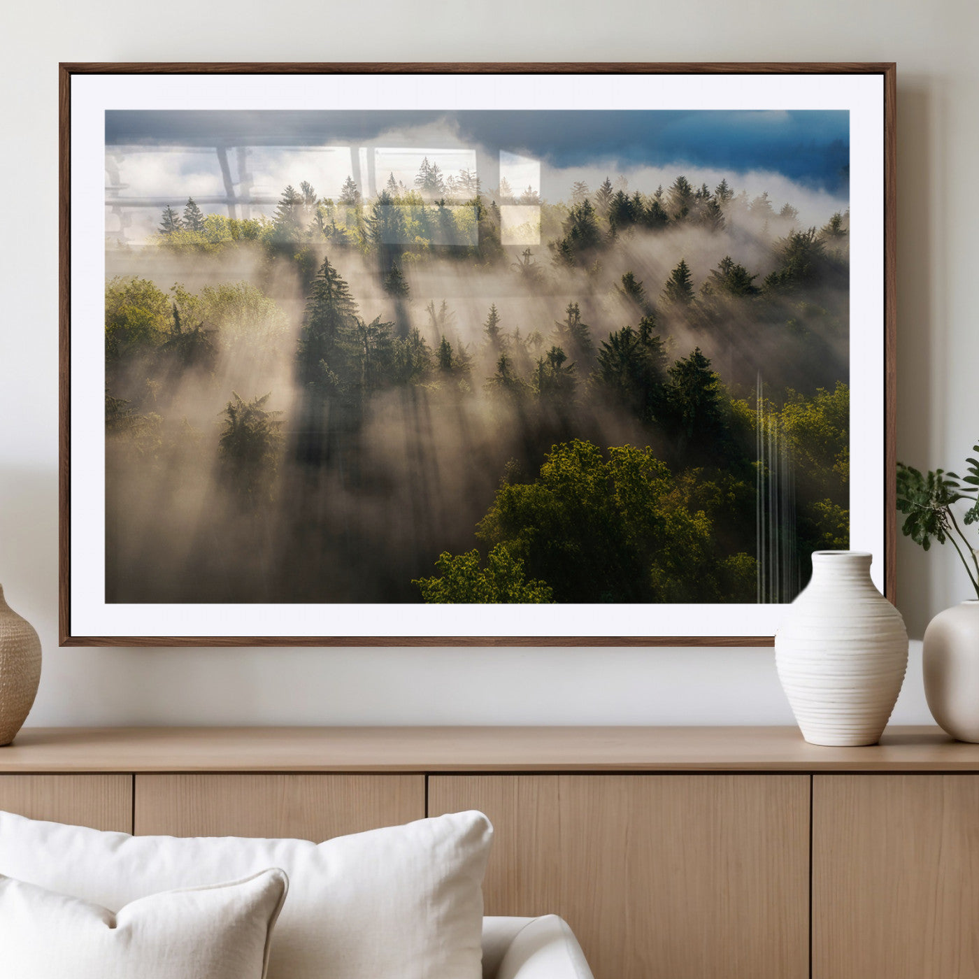 Sunlight streaming through misty pine trees in a lush green forest, creating a serene and atmospheric landscape, perfect for nature-inspired decor.