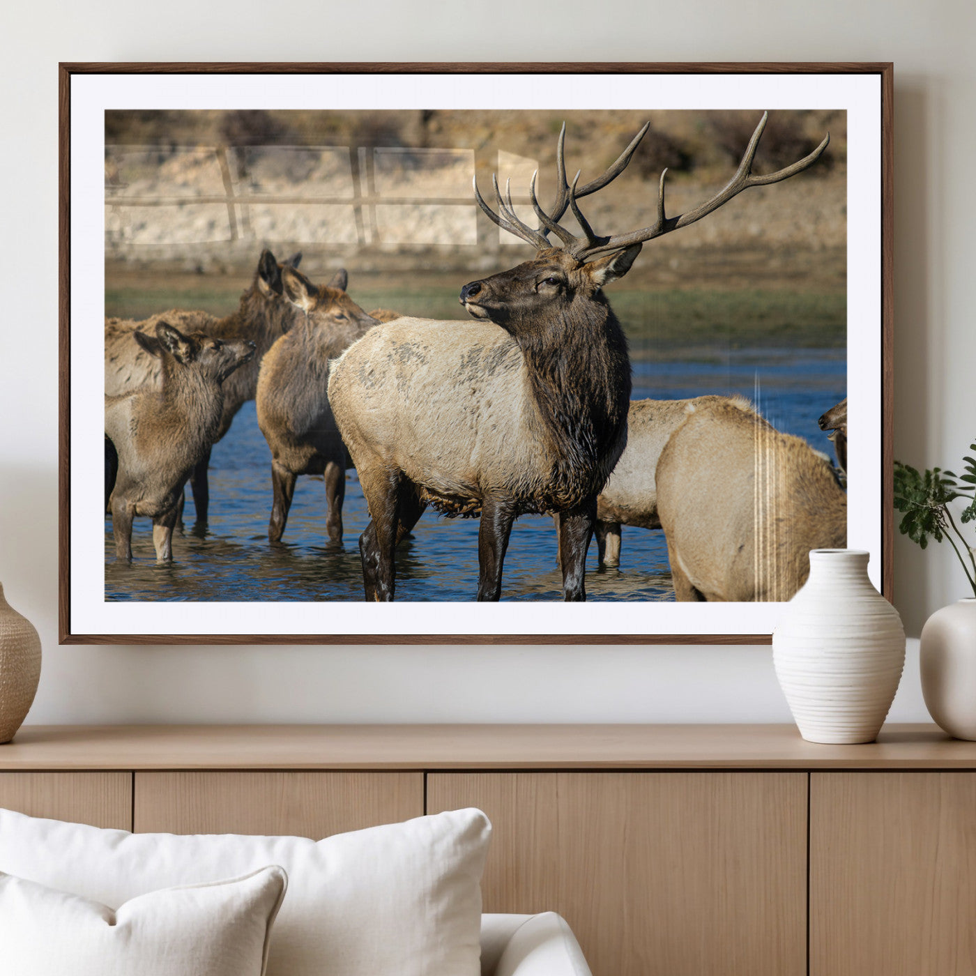 Group of elk standing in shallow water with dry rocky terrain in the background, showcasing wildlife in a natural setting for rustic decor.
