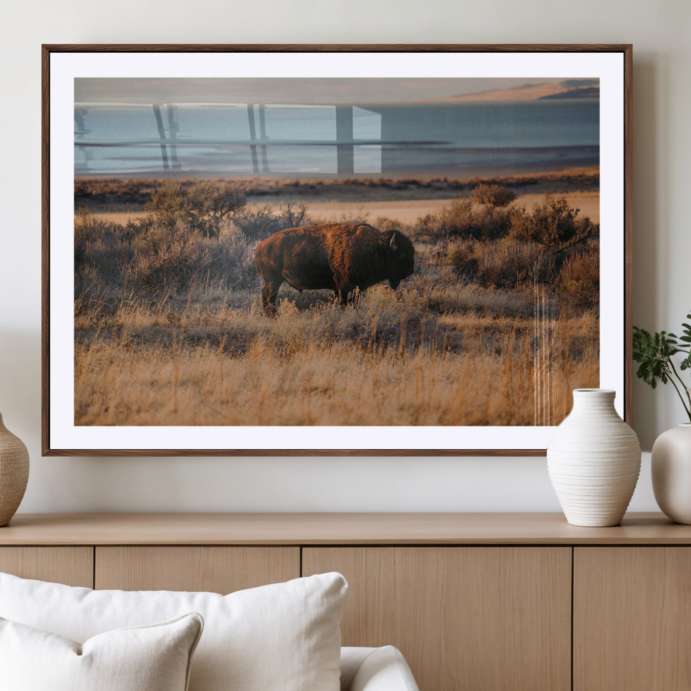 A lone bison grazing in golden prairie grass at sunset, with warm earthy tones and a distant lake view, perfect for rustic and western decor.