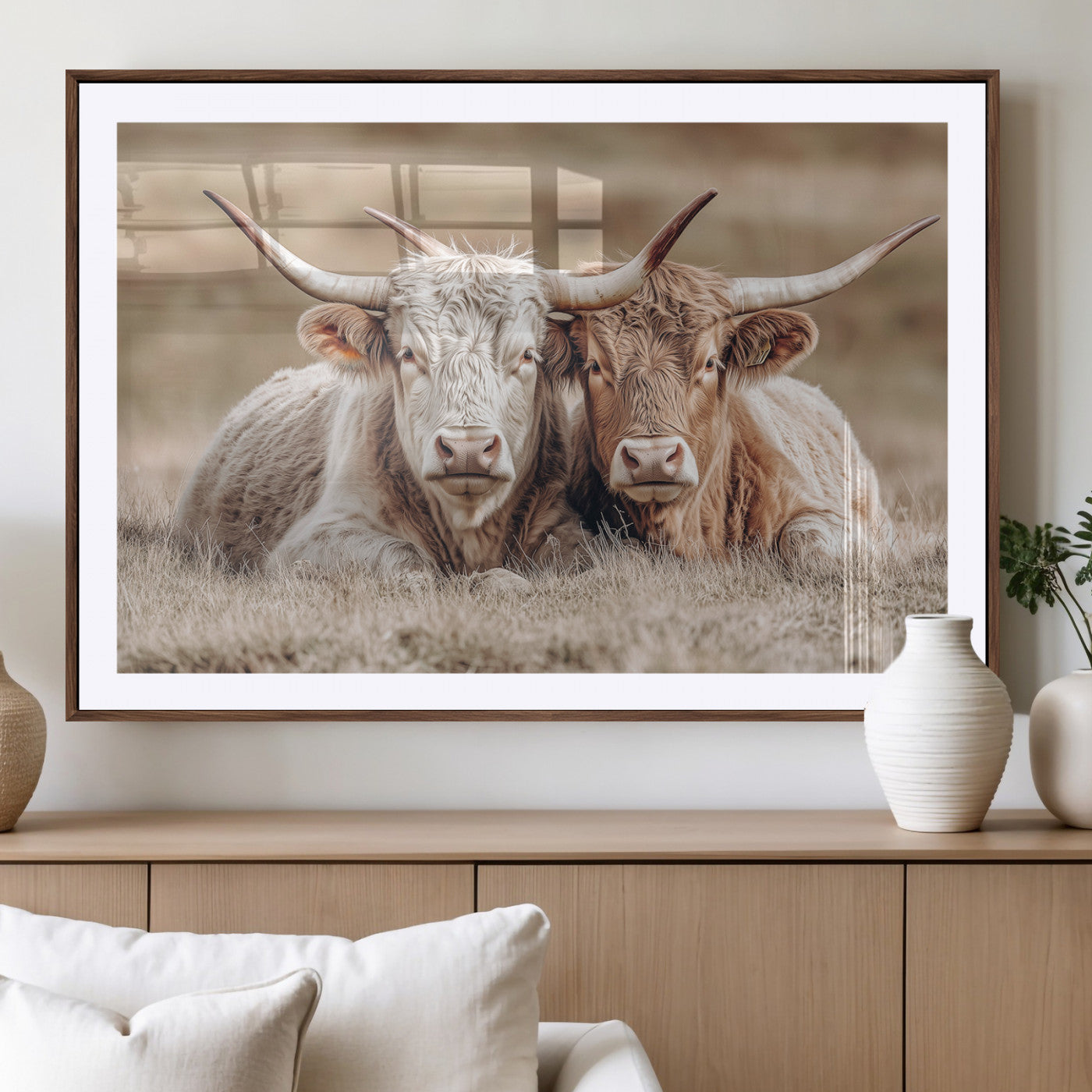 Two Highland cows with long horns lying side by side on a grassy field, featuring soft natural tones and a calm rural setting.