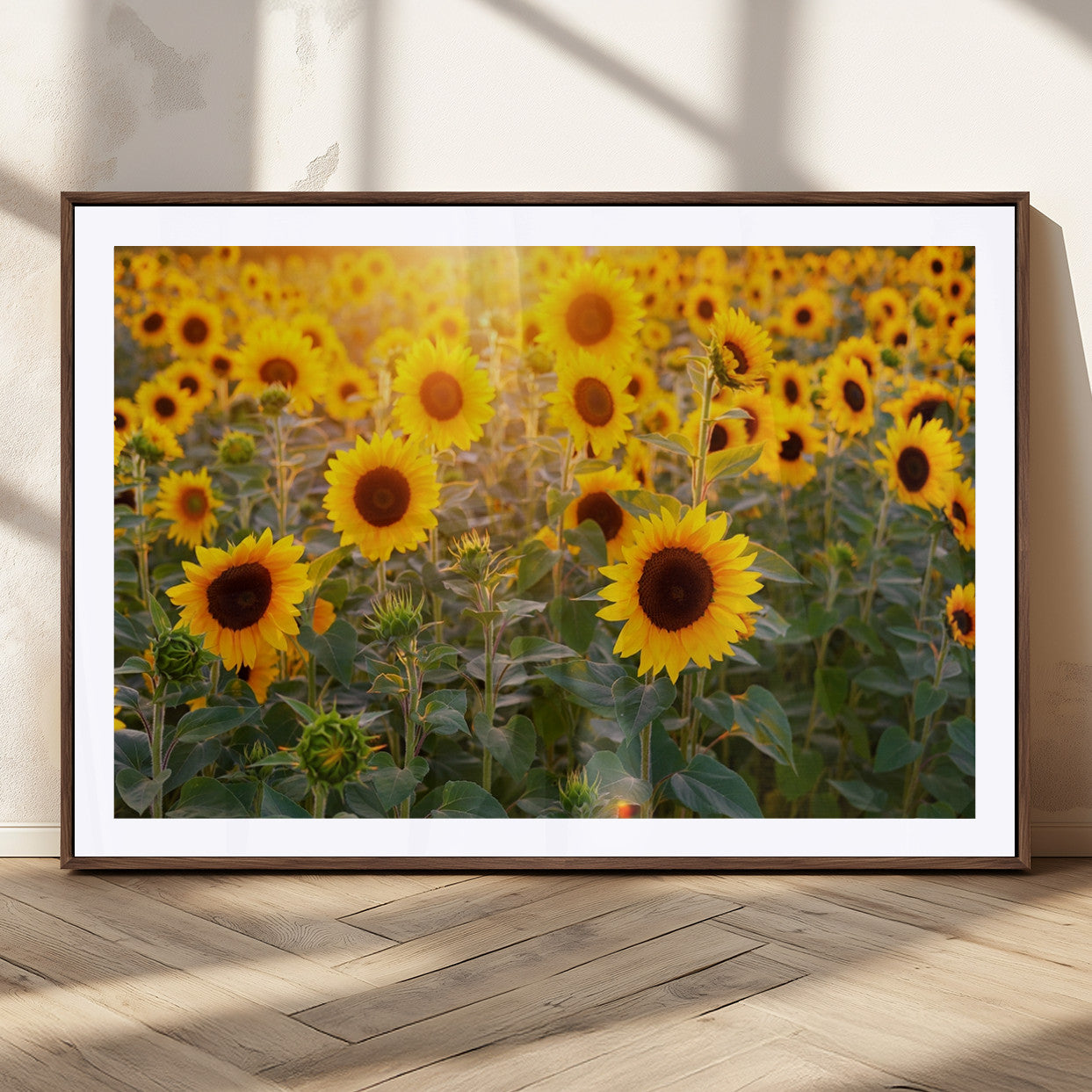 MGC-FP-36x24 - Sunflower Sunshine Wall Art Canvas Print