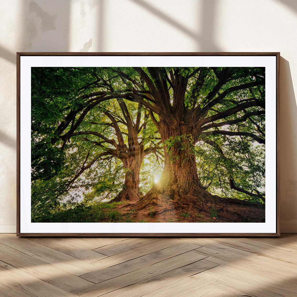 MGC-FP-36x24 - Majestic Ancient Tree Wall Art, NatureCanvas Print, Woodland Art, Tree of Life Artwork, Sunlit
